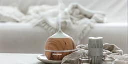 The 7 Best Humidifiers for a Breath of Fresh Air