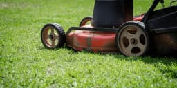 The Best Lawn Mowers to Handle Your Grass