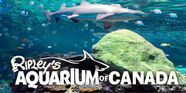 Ripley’s Aquarium Promo Codes for October 2025