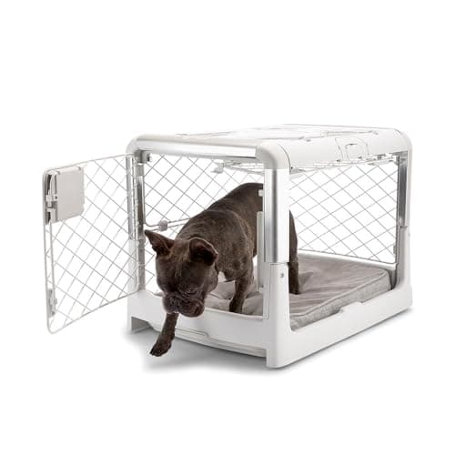 DIGGS Revol Collapsible Dog Crate with Wheels - Premium Portable Dog Crate - Safe, Stylish, and Convenient Indoor Kennel (Ash, Small)