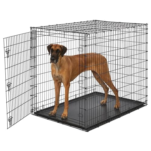 Midwest Homes for Pets Ginormous Single Door 54-Inch Dog Crate for XXL Dogs Breeds; Great Dane, Mastiff, St. Bernard, Drop Pin Assembly Requires Two People; Divider Panel Not Included; Black: SL54