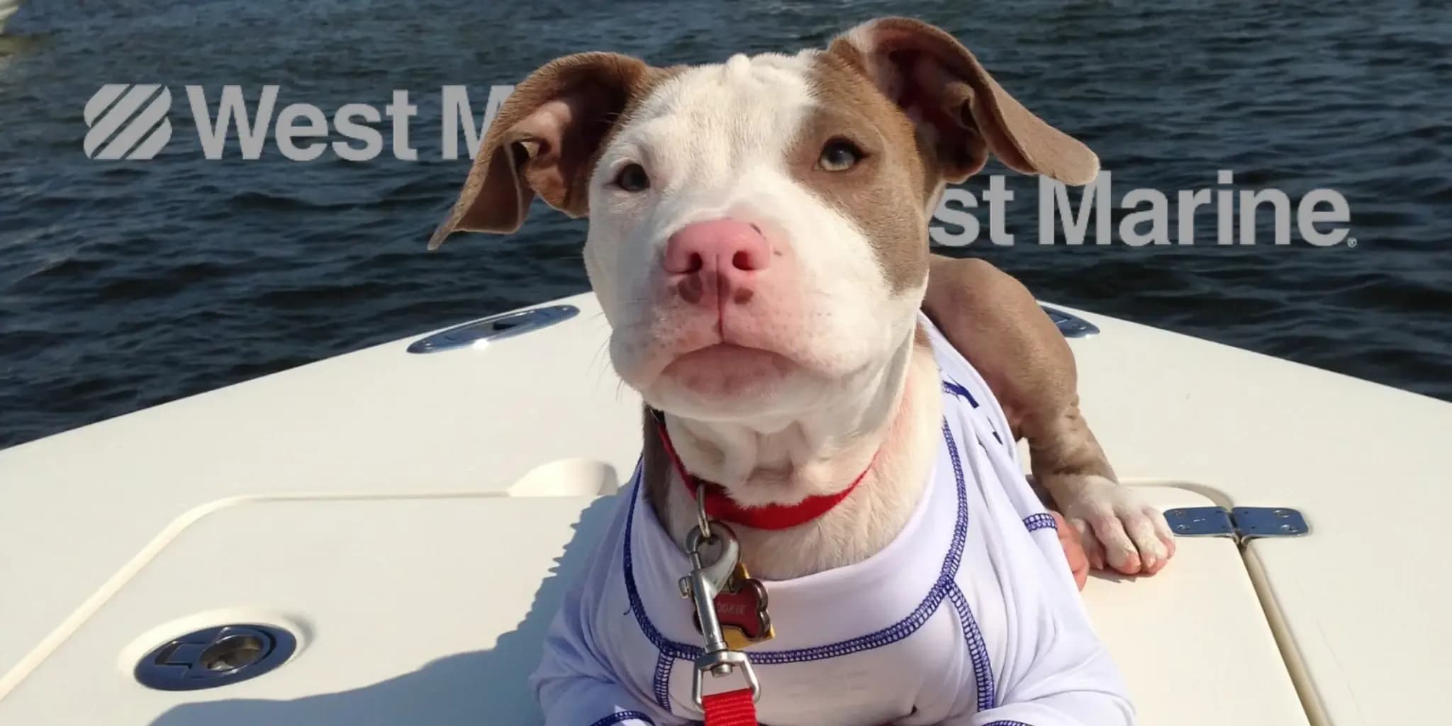 WestMarine.com Promo Codes for March 2026