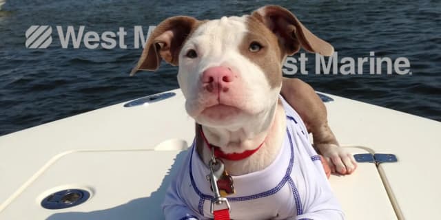 WestMarine.com Promo Codes for March 2026